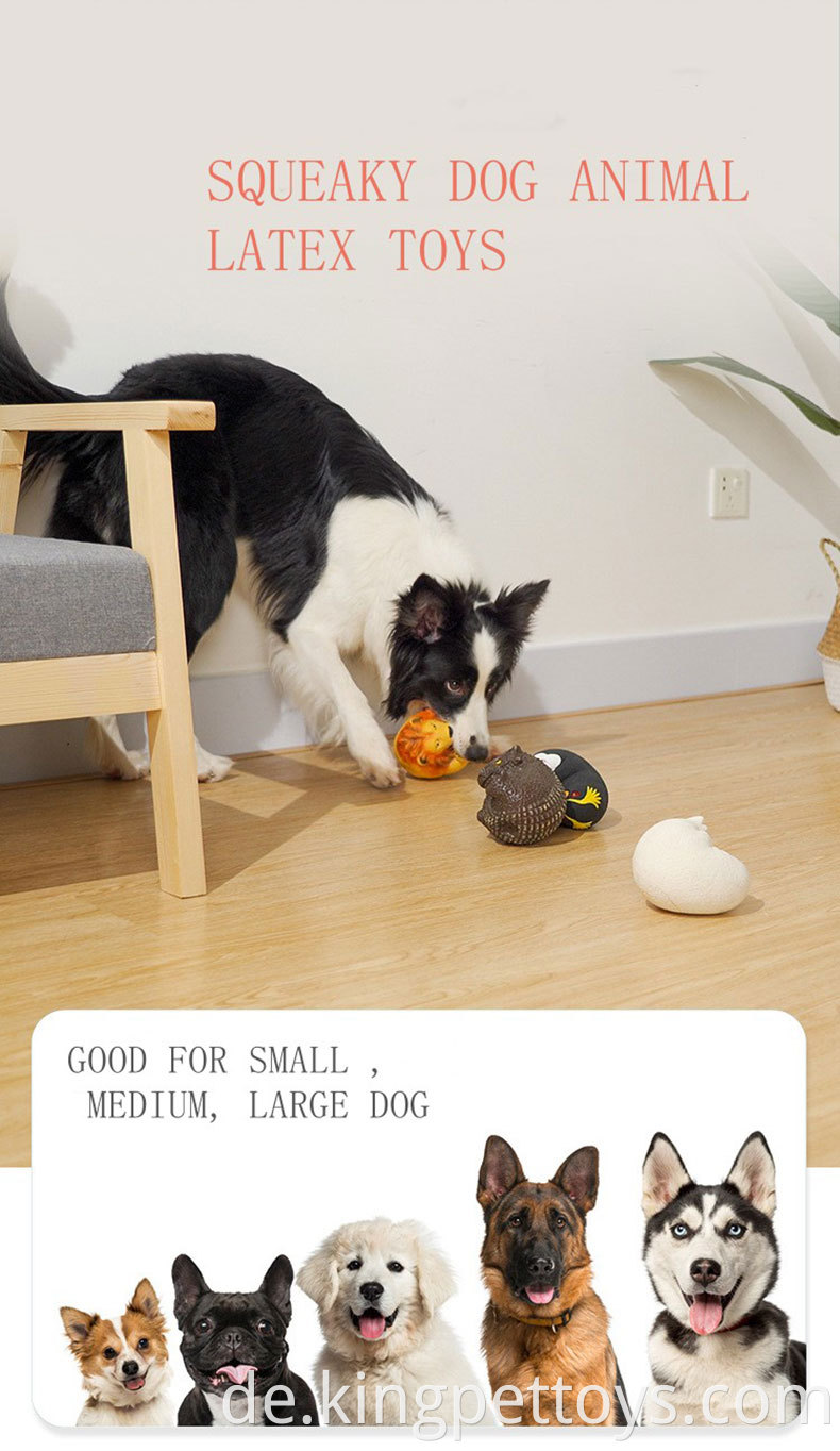 Squeaky Pet Ball Toy